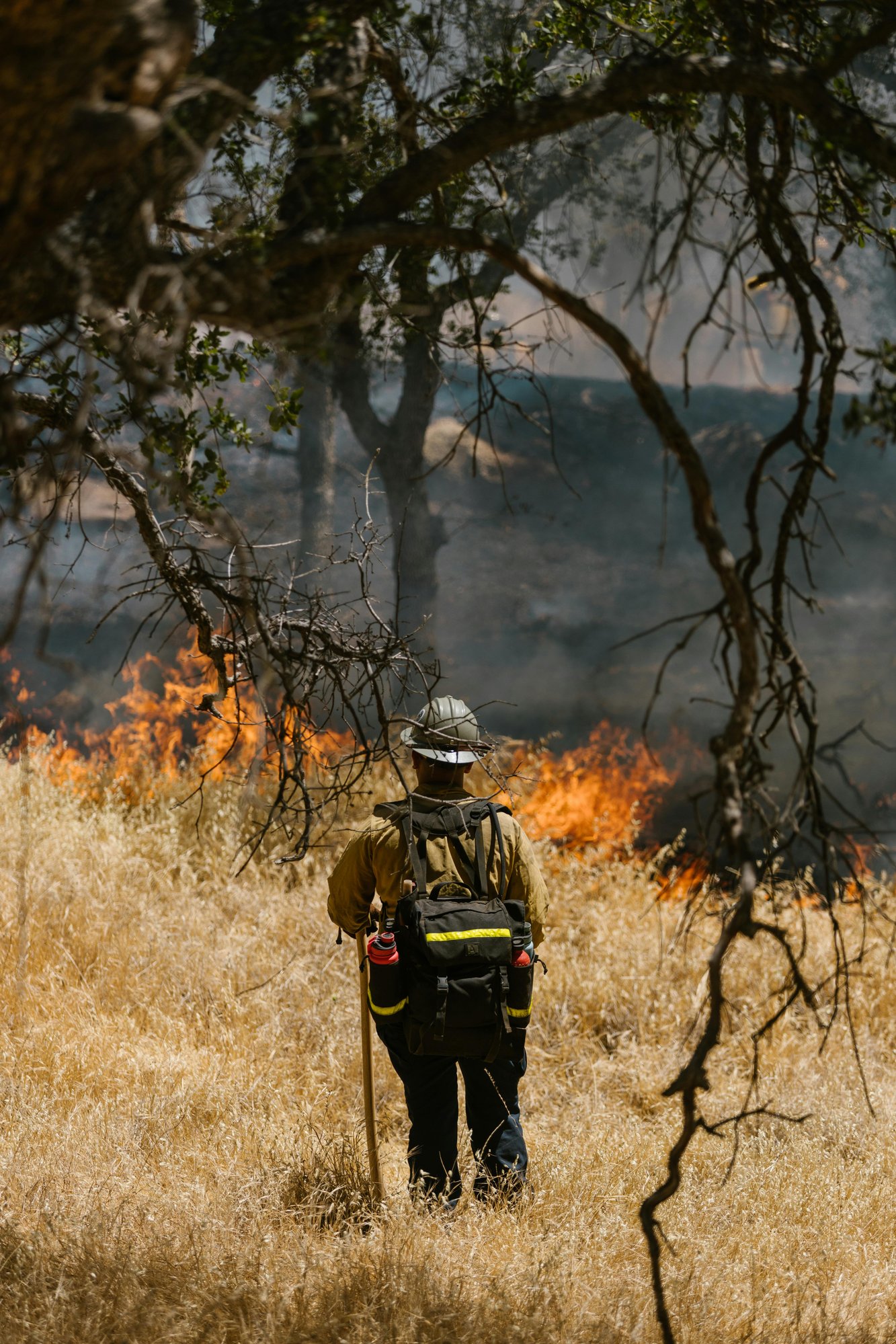 firefighter looking at wildfire firefighter looking at wildfire